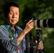 捷报足球滚球比分-捷报频传，足球滚球比分背后的激情与智慧博弈
