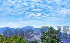 那个足球比分网好-深度测评，五大主流足球比分网，谁才是真球迷的终极选择？